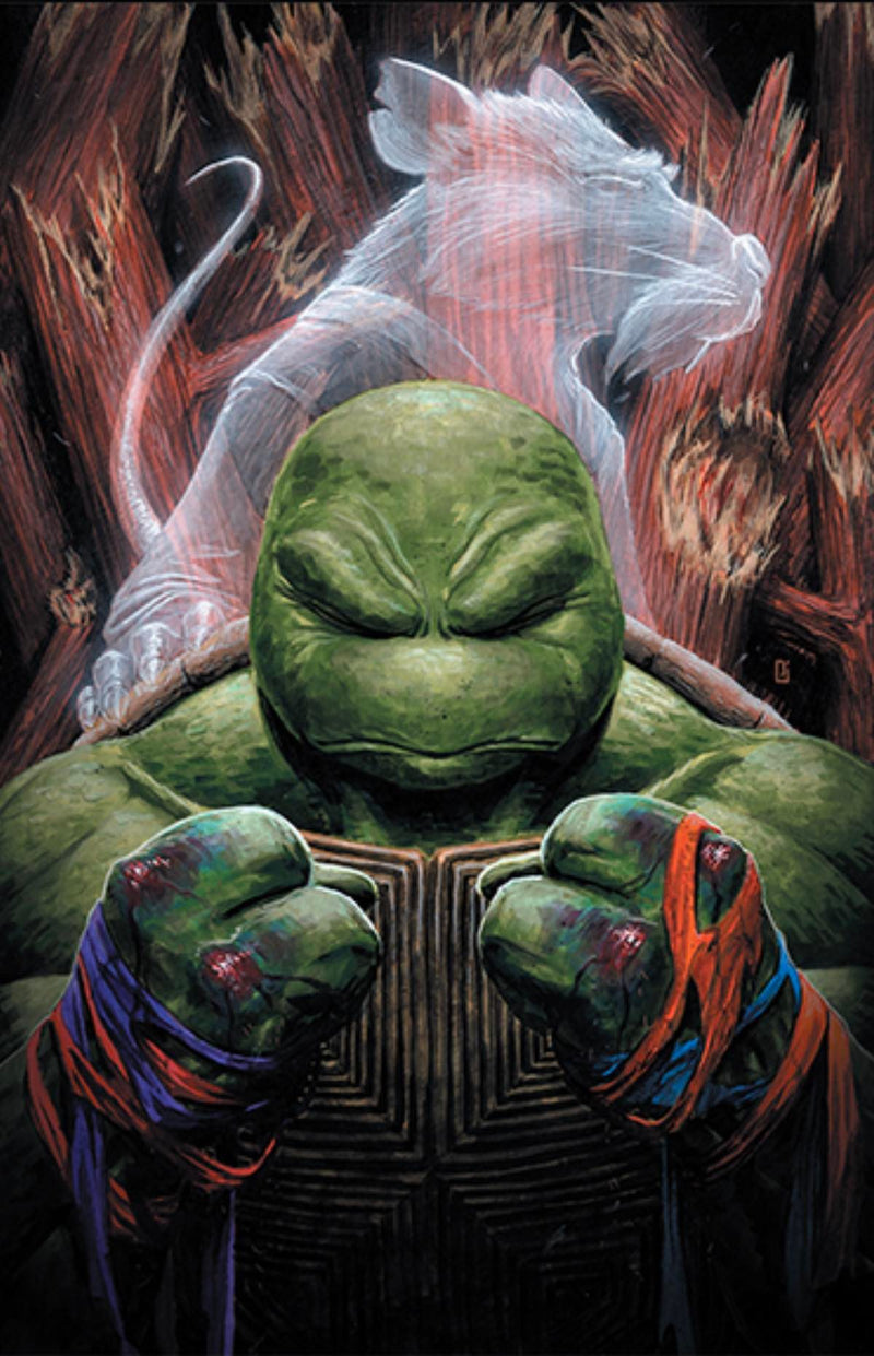 TMNT Last Ronin Lost Years