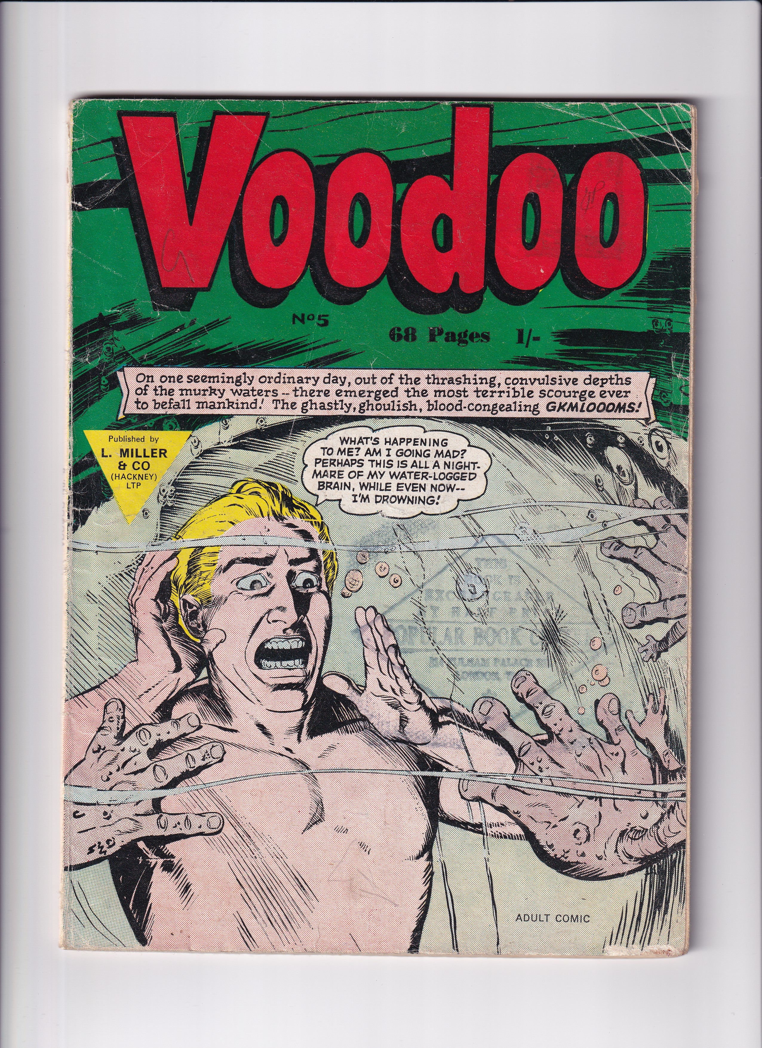 VOODOO NO.5 - Slab City Comics 