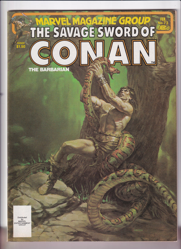 THE SAVAGE SWORD OF CONAN THE BARBARIAN #73 - Slab City Comics 