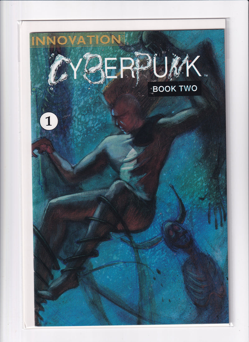 CYBERPUNK BOOK 2