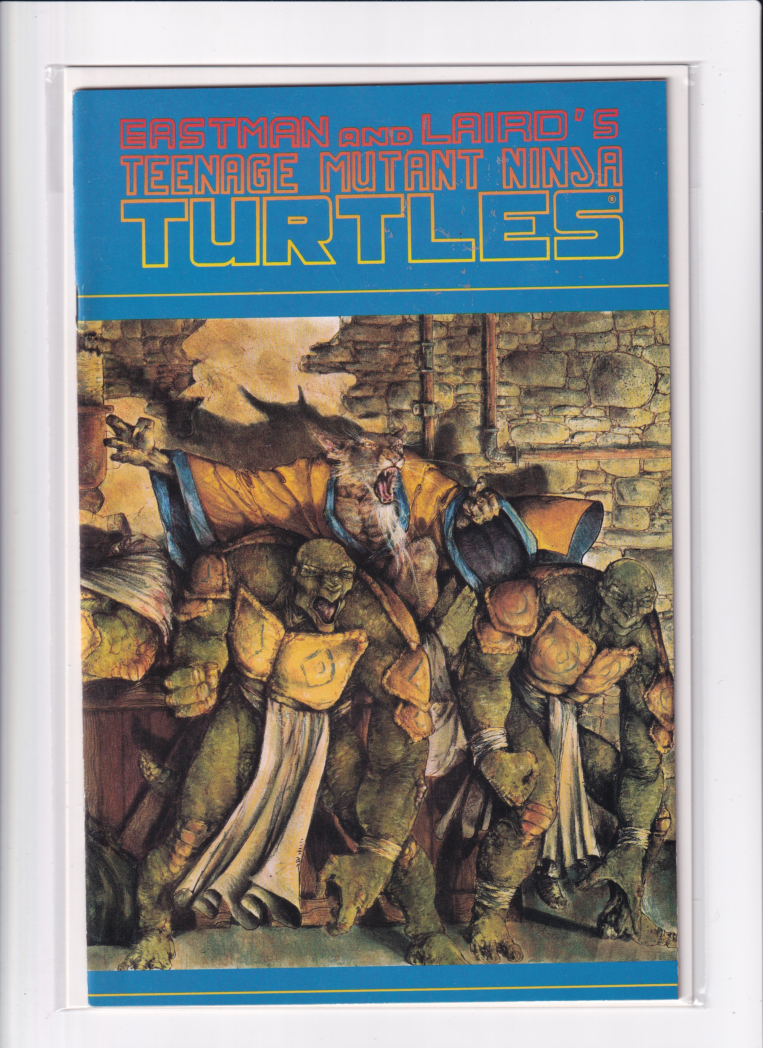 TEENAGE MUTANT NINJA TURTLES #35 - Slab City Comics 