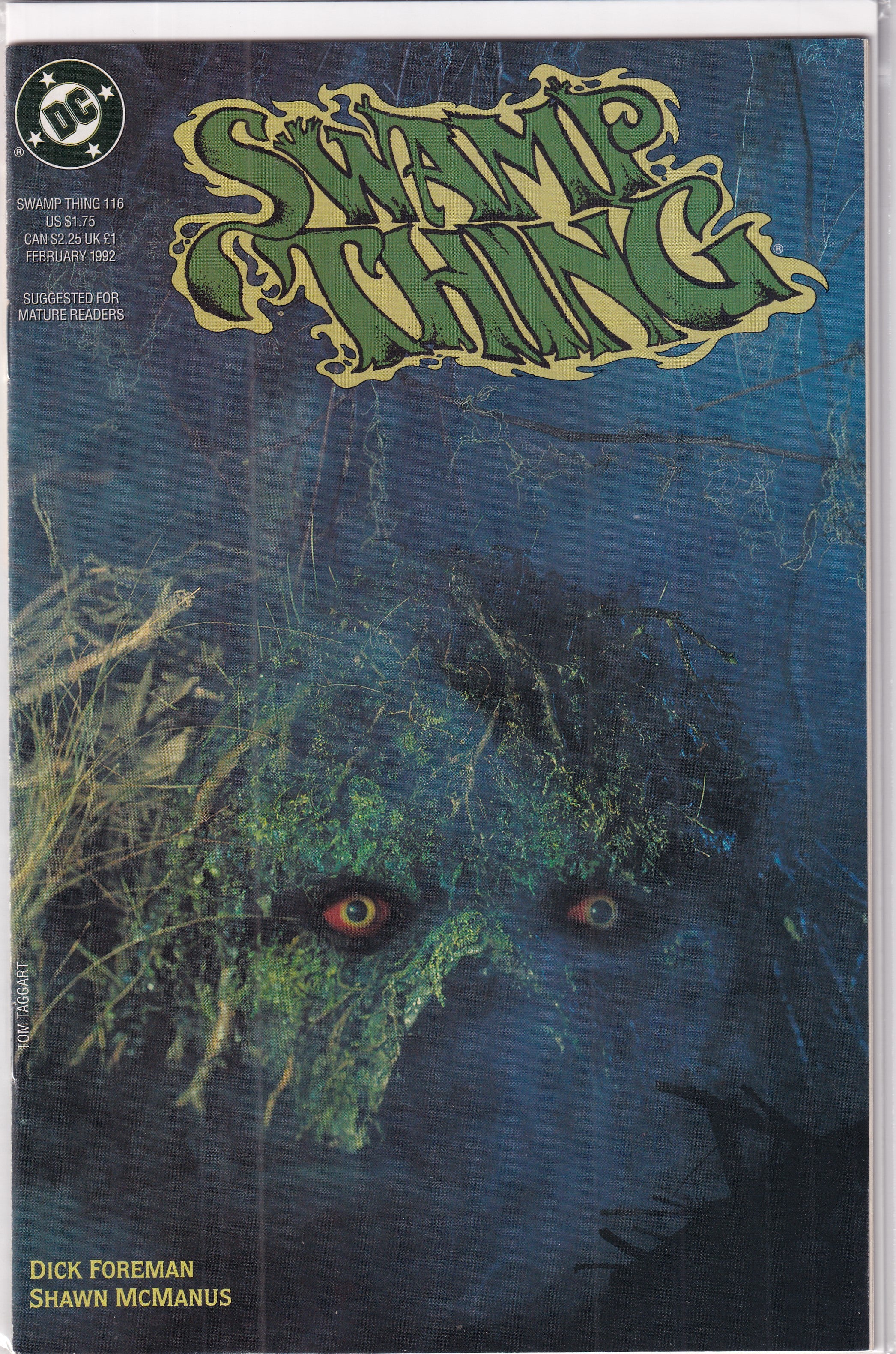 SWAMP THING #116 - Slab City Comics 