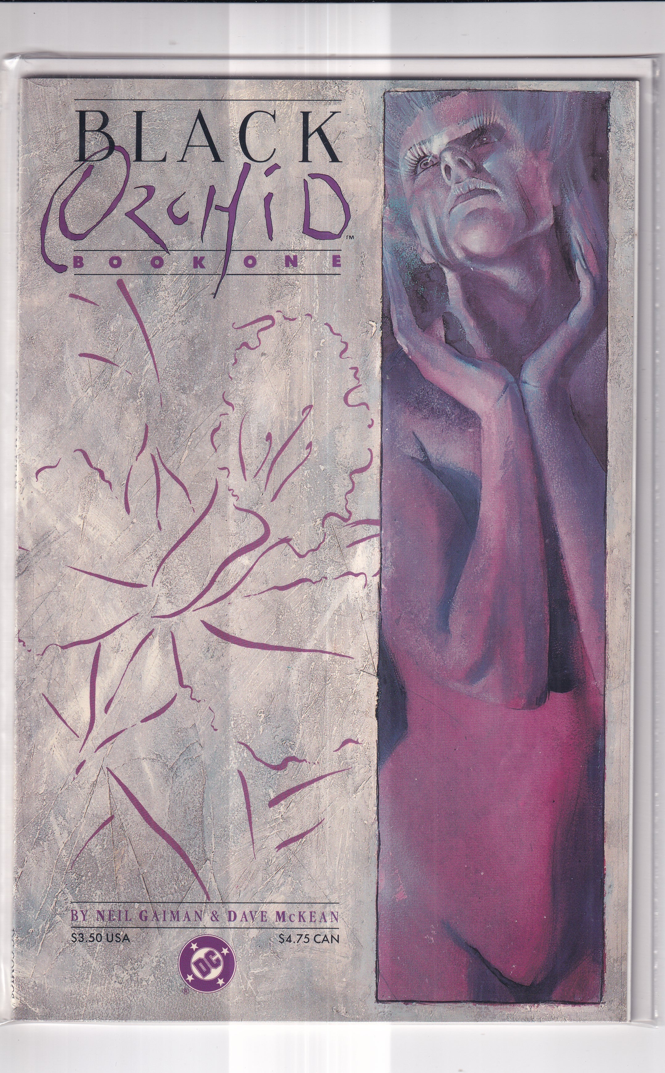BLACK ORCHID #1 - Slab City Comics 