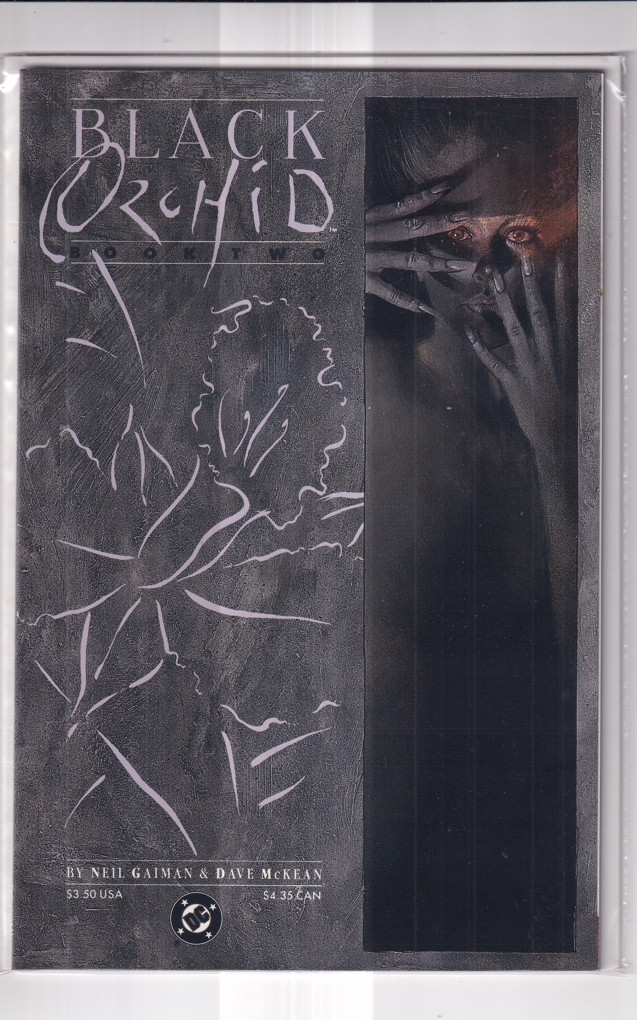 BLACK ORCHID #2 - Slab City Comics 