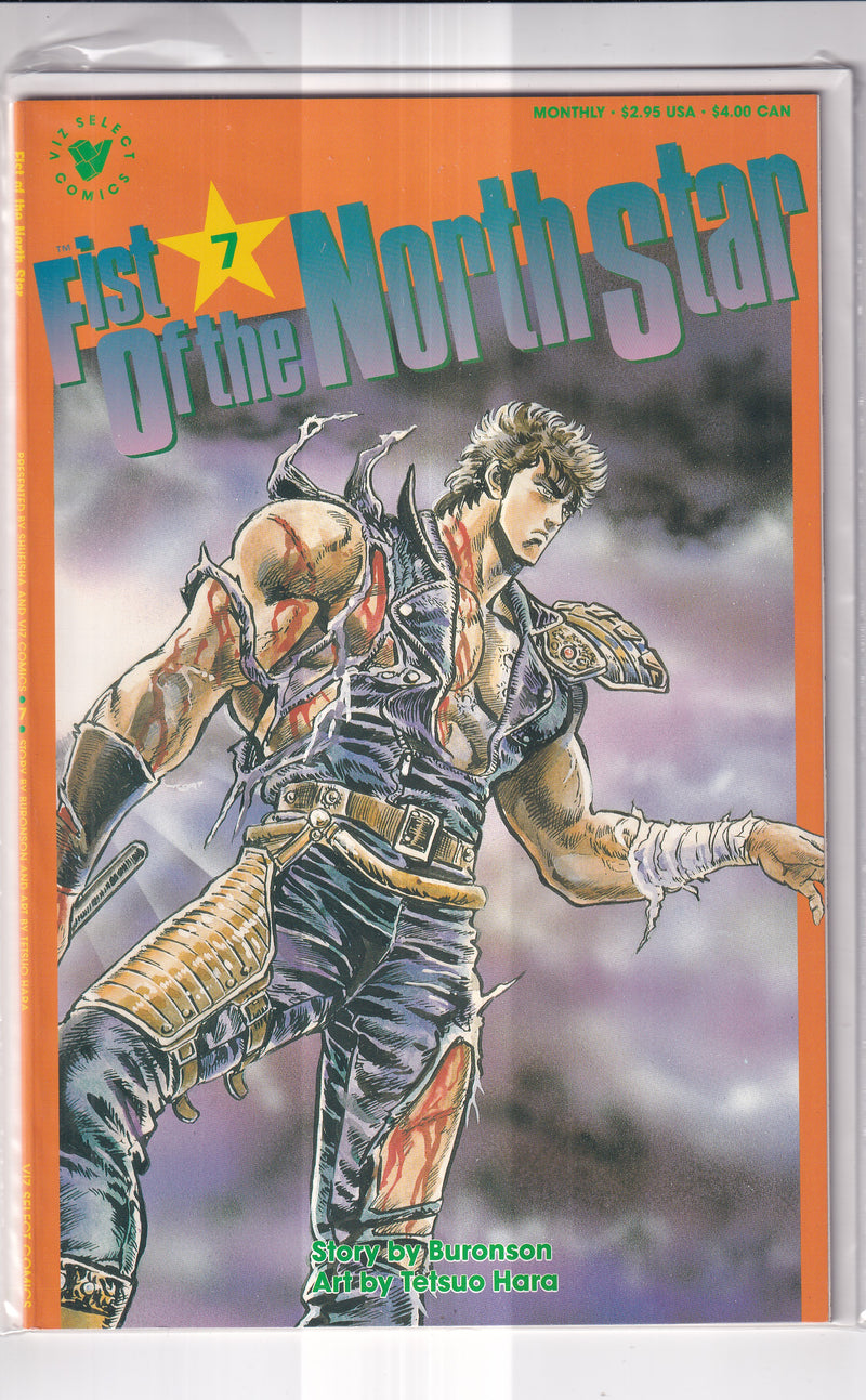 FIST OF THE NORTH STAR