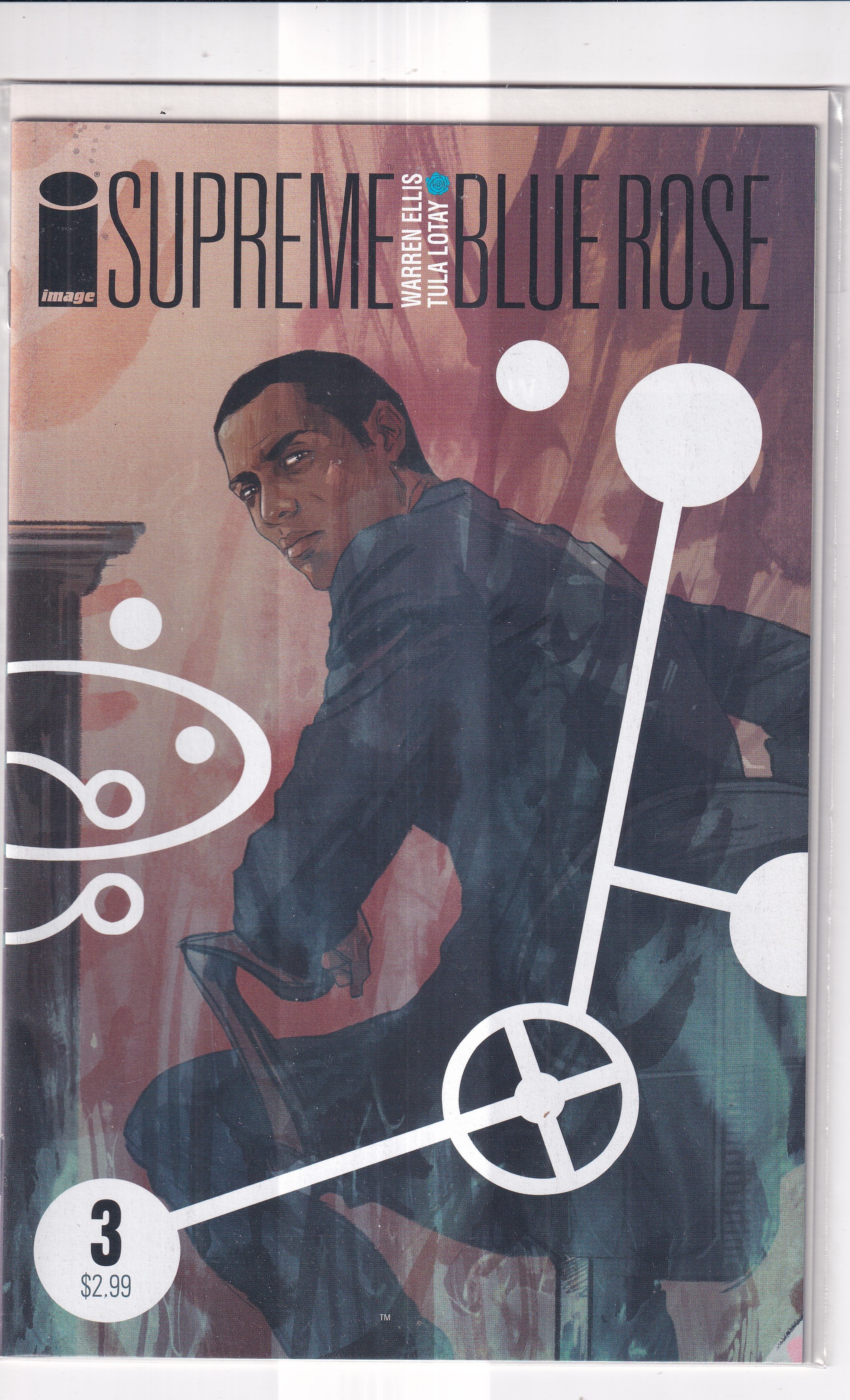 SUPREME BLUE ROSE #3 - Slab City Comics 
