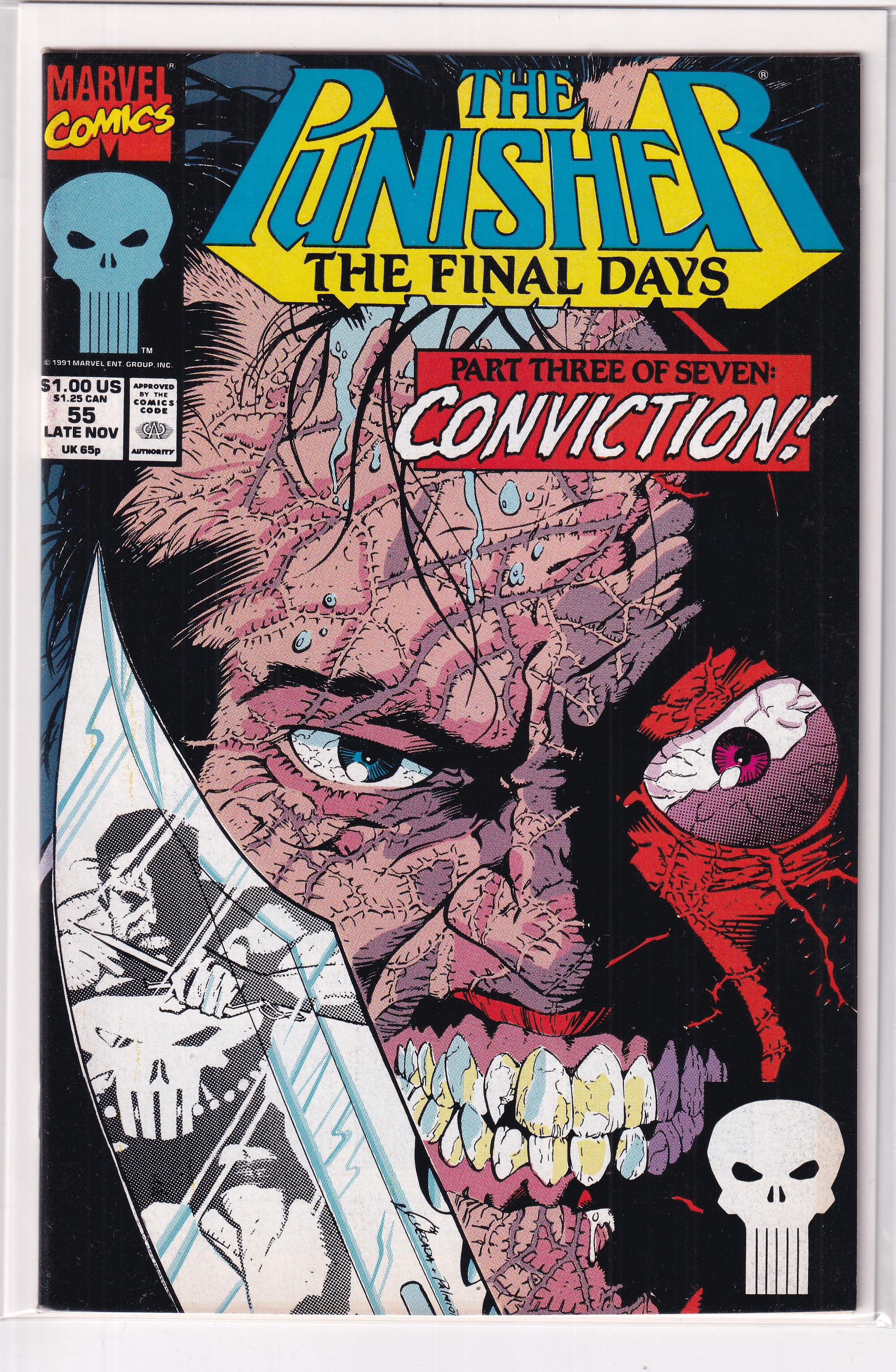PUNISHER FINAL DAYS #55 - Slab City Comics 