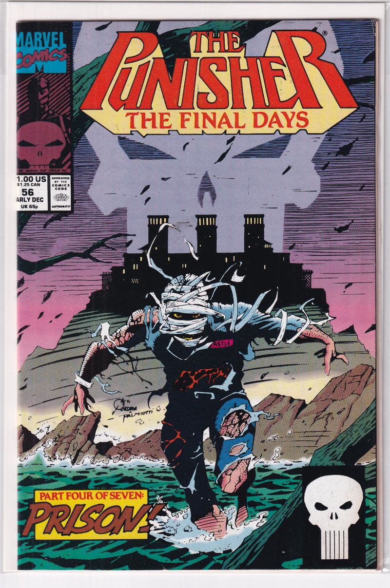 PUNISHER FINAL DAYS