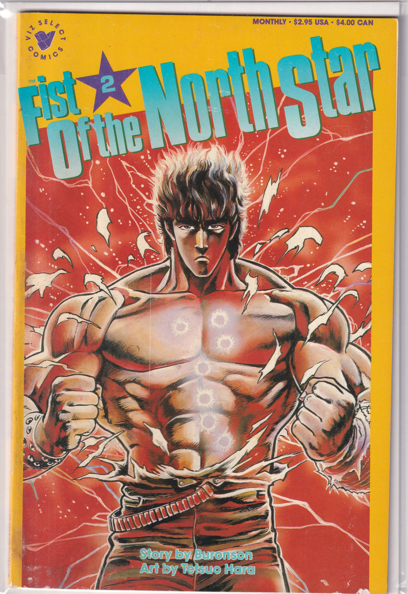 FIST OF THE NORTH STAR