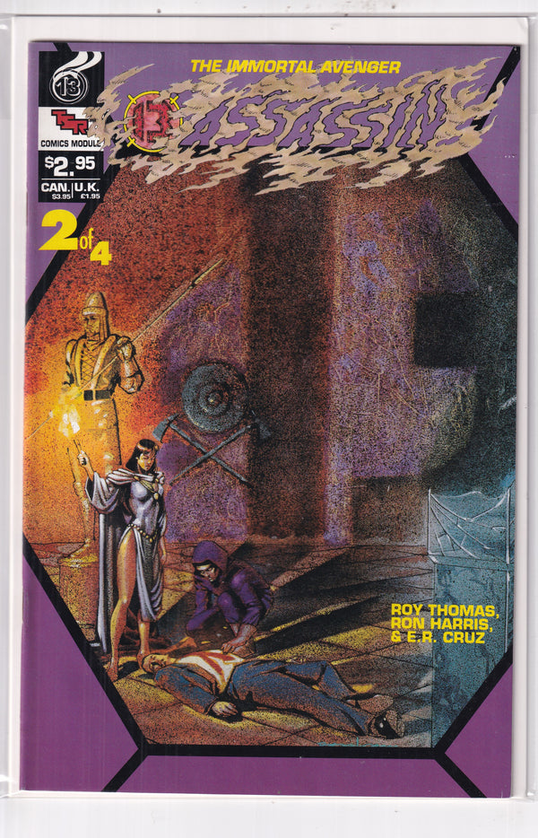 IMMORTAL AVENGER 13 ASSASSIN #2 - Slab City Comics 