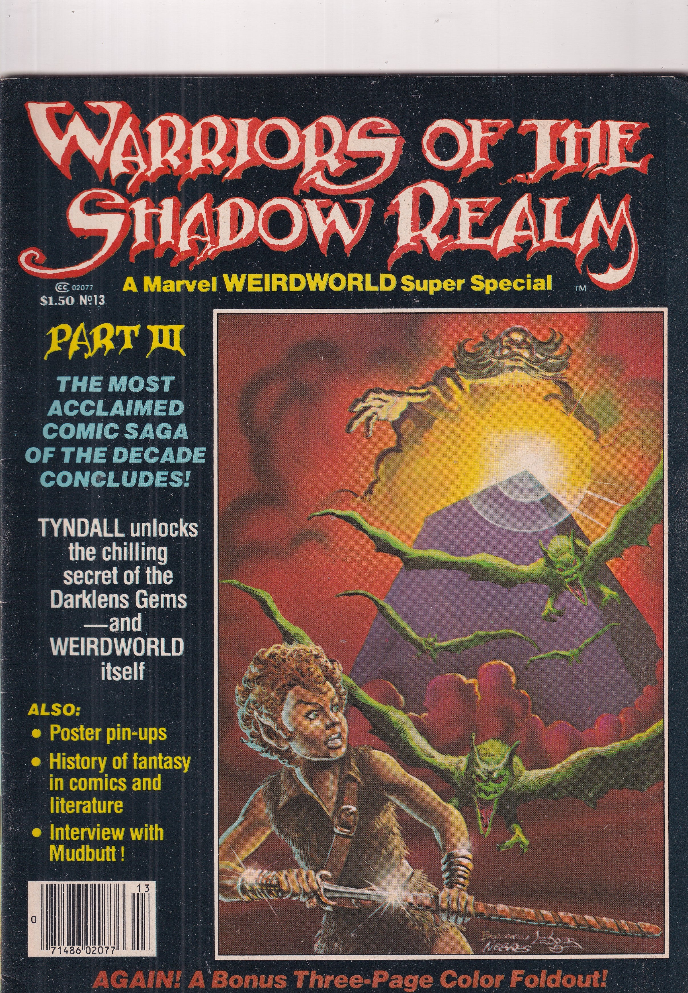 WARRIORS OF THE SHADOW REALM #13 - Slab City Comics 