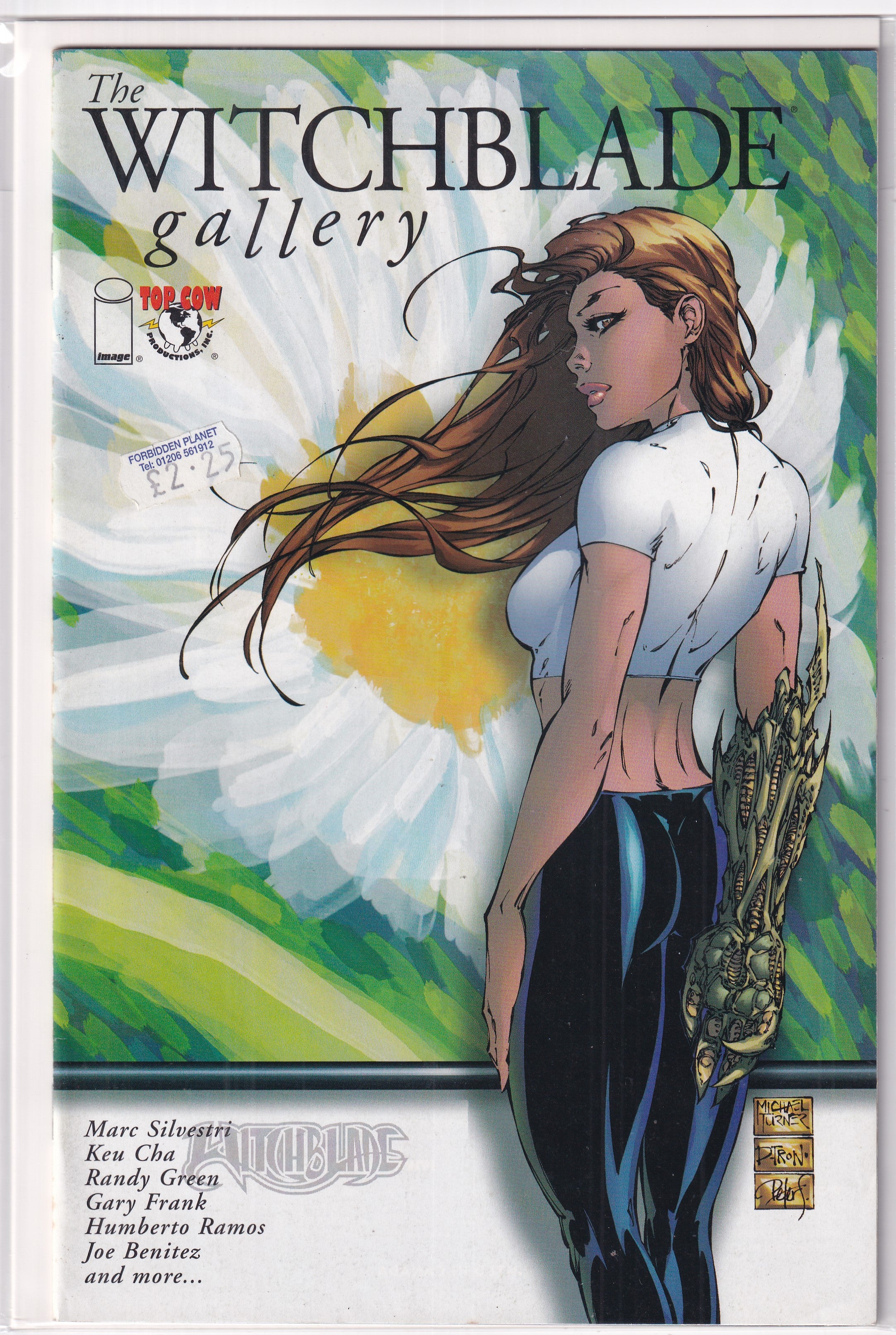 WITCHBLADE GALLERY #1 - Slab City Comics 