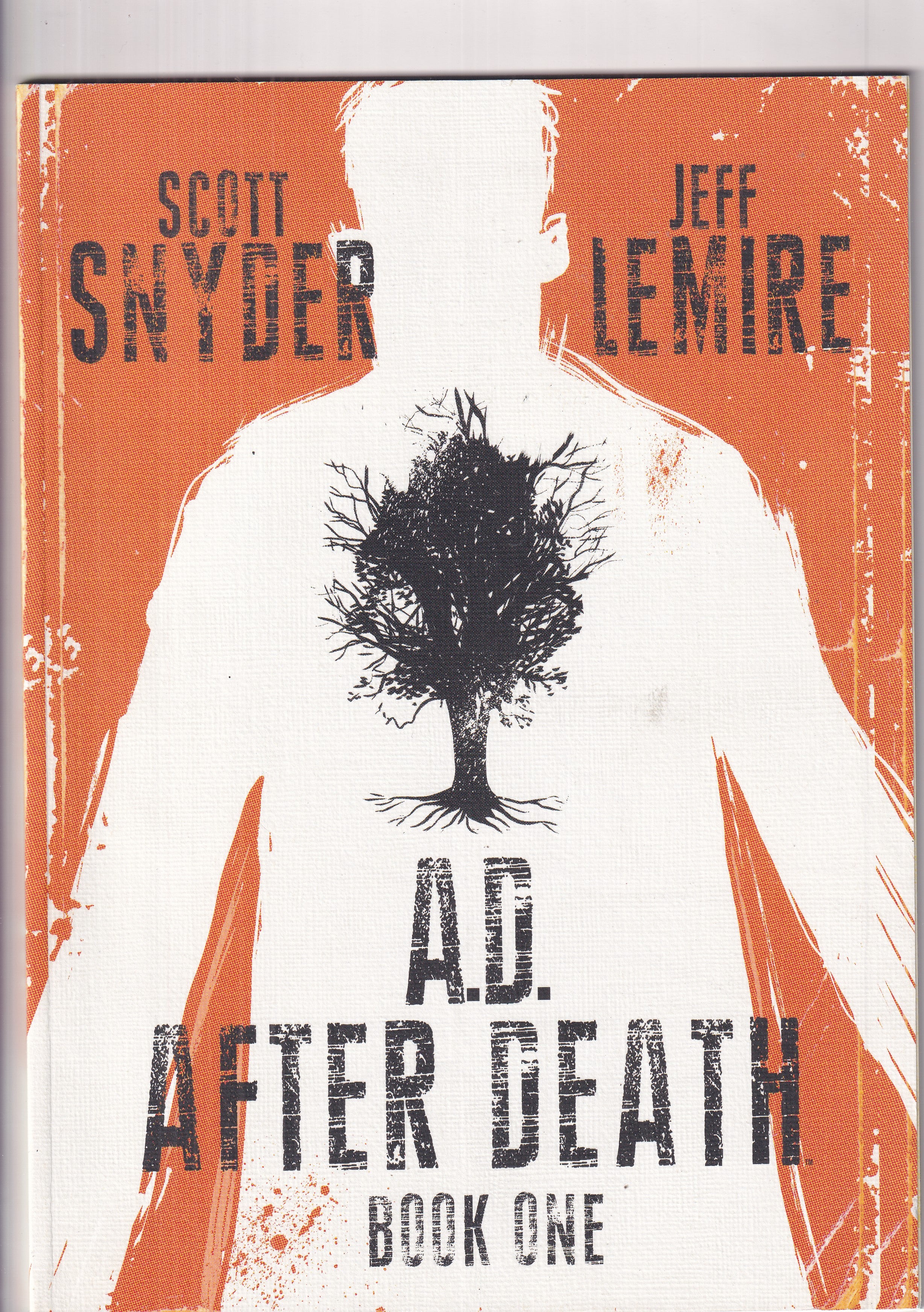 A.D. AFTER DEATH #1 - Slab City Comics 