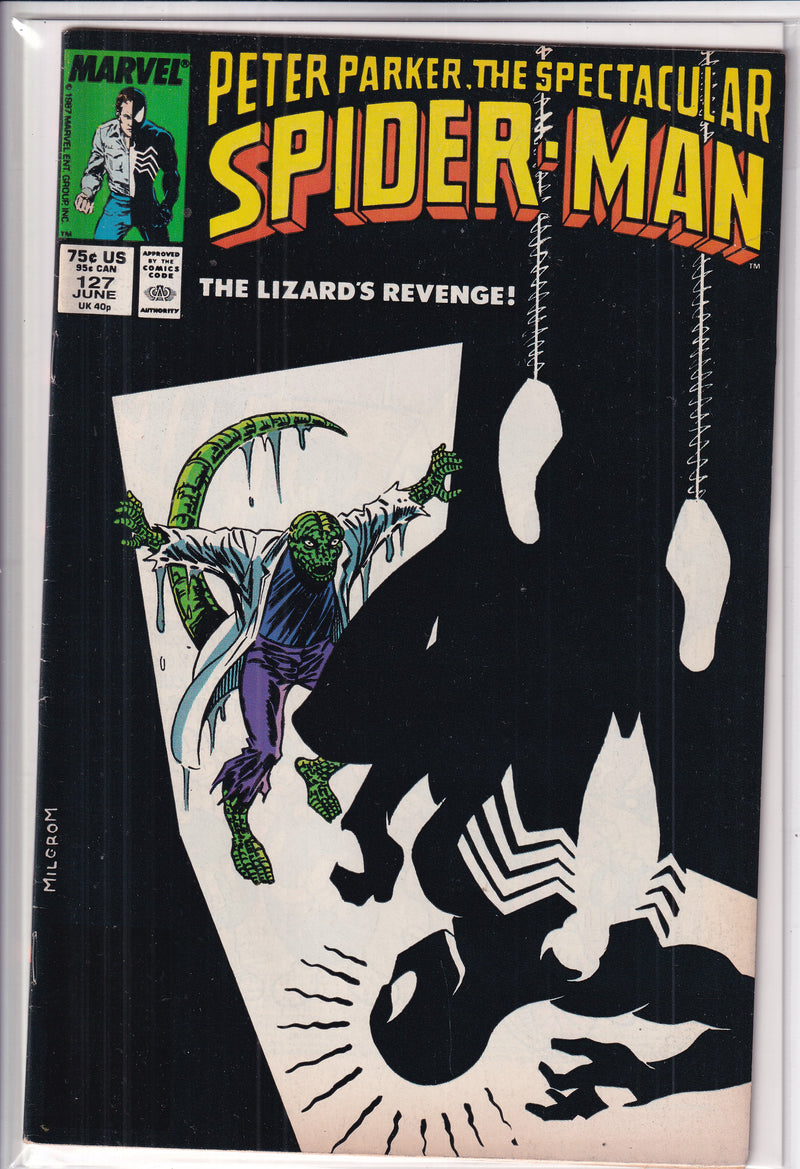 Peter Parker The Spectacular Spider-Man
